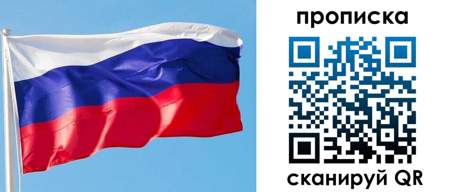 прописка поиск в Мариинском Посаде